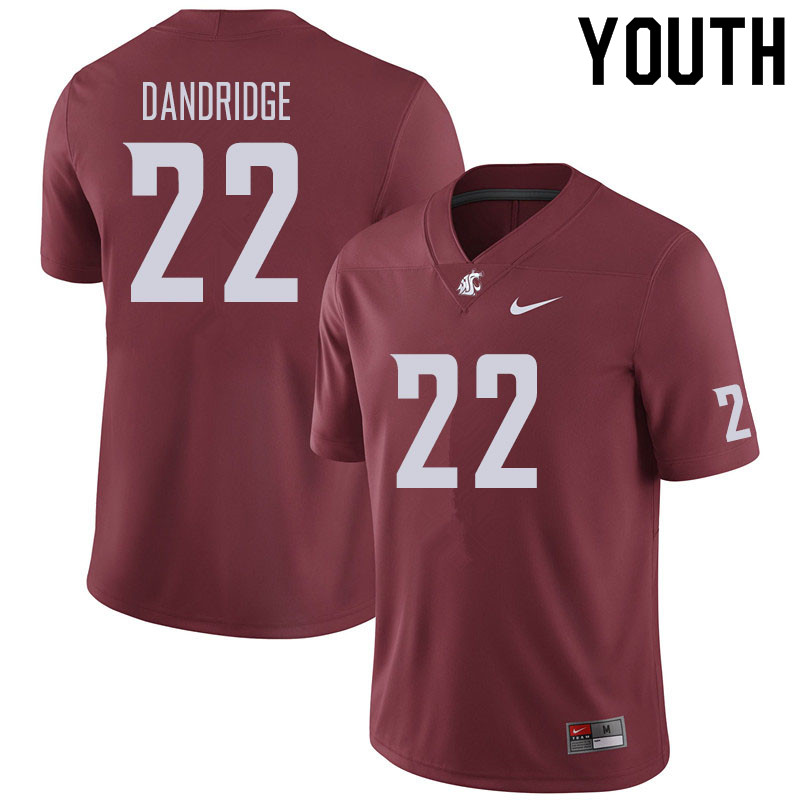 Youth #22 Matthew Dandridge Washington State Cougars Football Jerseys Sale-Crimson - Click Image to Close